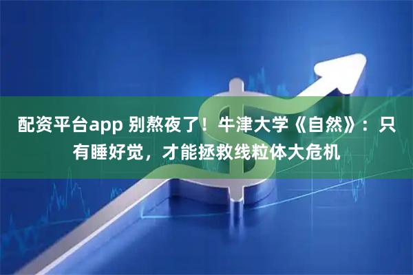 配资平台app 别熬夜了！牛津大学《自然》：只有睡好觉，才能拯救线粒体大危机