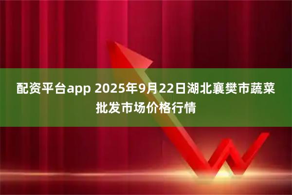 配资平台app 2025年9月22日湖北襄樊市蔬菜批发市场价格行情